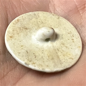 Glazed porcelain button of two Asian woman in garden setting.