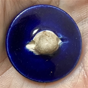 Japanese Satsuma button of iris's.