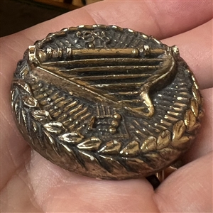 Metalized plastic Diamond D button of harp and music notes.