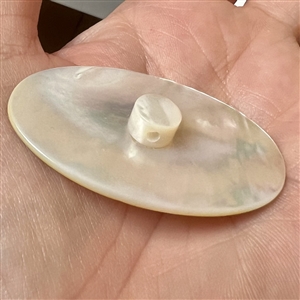 Incised pearl (?) button of a hot air balloon.