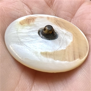 Incised pearl button of a bird flying over water.