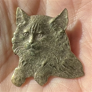 Realistic brass cat button. 