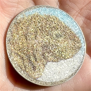 Studio button of a gila monster.