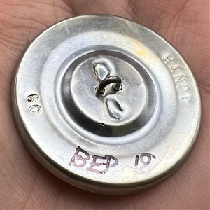 Studio button of a gila monster.