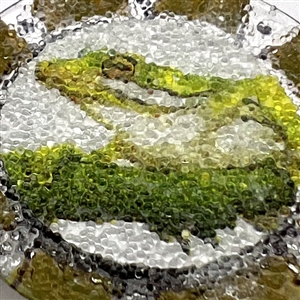 Studio button of a frog.