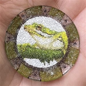 Studio button of a frog.