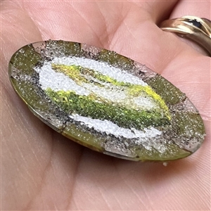 Studio button of a frog.