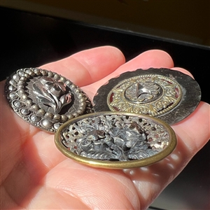 Three 19th c. Plant life buttons with steels.