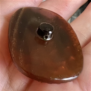 Resin or polymer button of an octopus. 