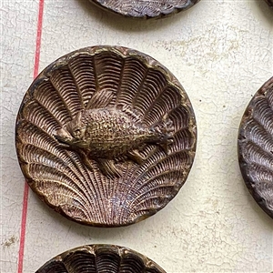 Original store card of 24 brass fish buttons by La Mode.