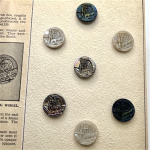 Card of seven glass buttons - “Lady Isabella” with information.