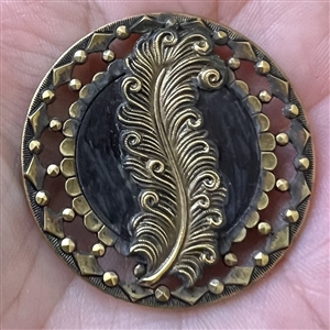 Brass button of a fancy feather.