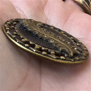 Brass button of a fancy feather.