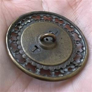 Brass button of a fancy feather.