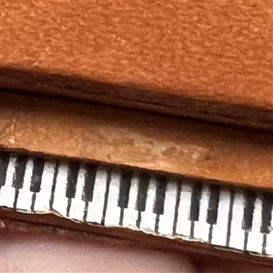 Leather button of a piano.