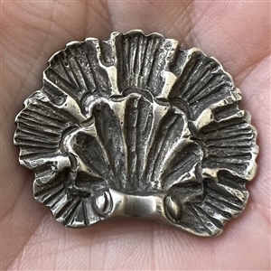 White metal button of a realistic scallop shell.
