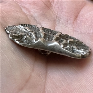 White metal button of a realistic scallop shell.