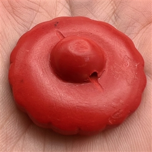 Modern “cinnabar” button of plant life over a background of squares.
