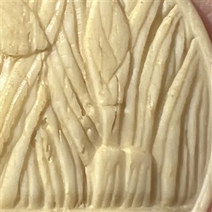 Carved natural material button of Japanese Iris among leaves.  