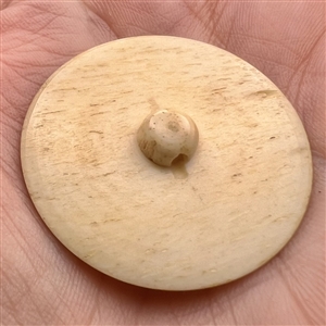 Carved natural material button of Japanese Iris among leaves.  