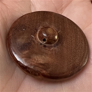 Carved material in wood button of a three koi swimming.