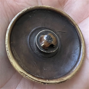 Vintage celluloid button of polo player on a horse.