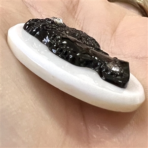 White glass and black glass button with a rosette shank of Sissieretta Jones.