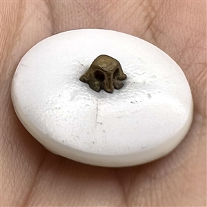 Rare & colorful coralene glass button.