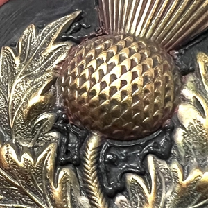 Brass thistle over plastic (?) button.