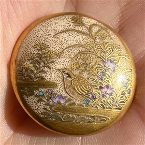 Large Satsuma button of Japanese quail in a garden.
