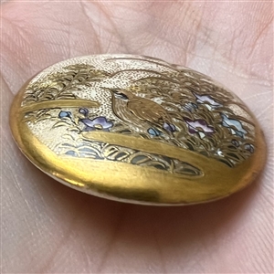 Large Satsuma button of Japanese quail in a garden.