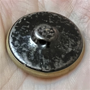 Commemorative brass button of “Peary Coat.”