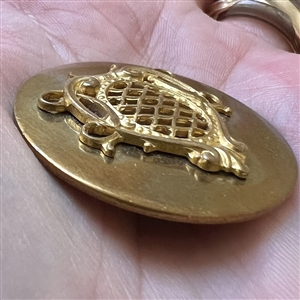 Brass button of a royal shield.