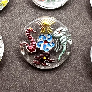 Eight Bohemian reverse painted glass buttons.
