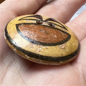 Zia Pueblo ceramic pottery button.