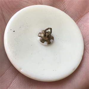 “Genghis Khan” sepia tinted white glass rosette shank button.