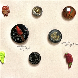 Card of twenty five bird buttons.