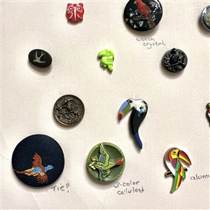 Card of twenty five bird buttons.