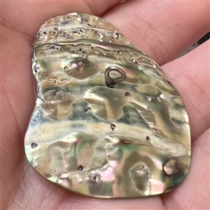 Horse and rider on abalone button.