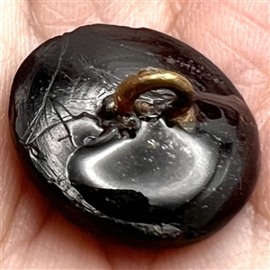 SCARCE black glass Turner button - Turnverein Gymnastic Club.