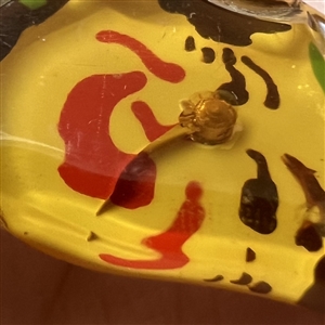 Reverse painted Vintage (?) acrylic clown button.