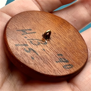 Studio button of a fish by Herman Bangman (?)