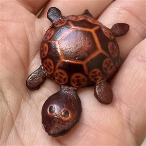 Realistic leather turtle button.
