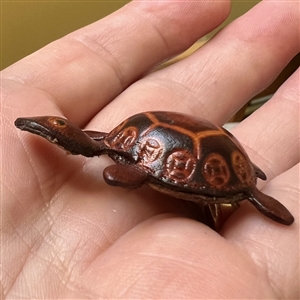 Realistic leather turtle button.