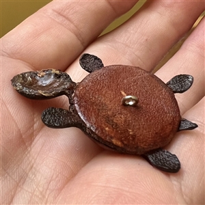 Realistic leather turtle button.