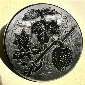 Matte and shiny button of plant with fruit.