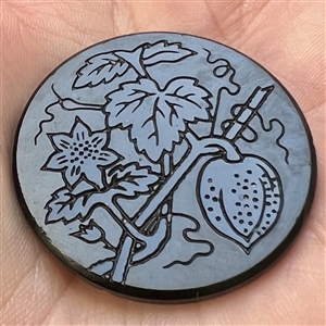 Matte and shiny button of plant with fruit.