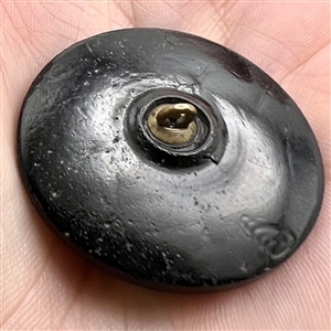 Matte and shiny button of plant with fruit.