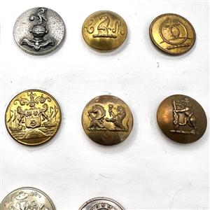 Twenty Livery buttons depicting animals.