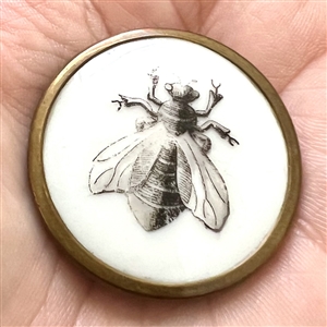A 19th c. Liverpool transfer button of a bee.